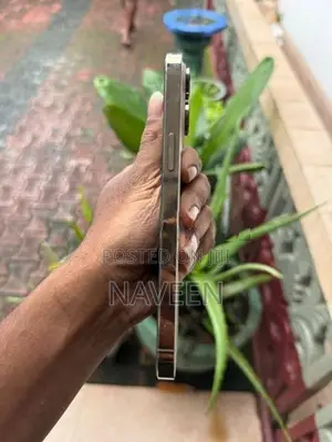 Apple iPhone 14 Pro Max (Used)