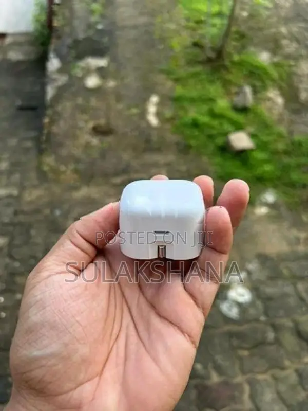 Apple iPhone Charger