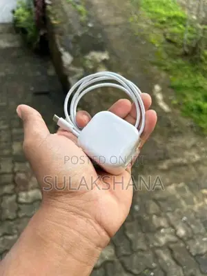 Apple iPhone Charger