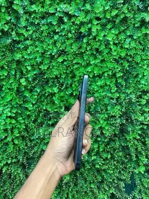 Apple iPhone 16 Pro Max 256GB (Used)