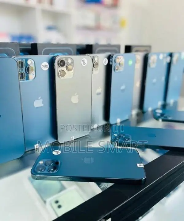 Apple iPhone 12 Pro 256GB (Used)