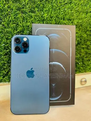 Apple iPhone 12 Pro 256GB (Used)