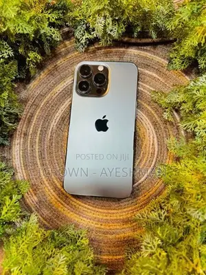 Apple iPhone 13 Pro 512GB (Used)
