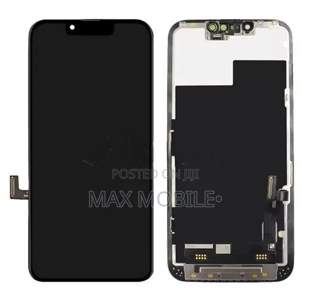 Apple iPhone Display (Used)