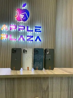 Apple iPhone 12 Pro Max 256GB Fullset Box (Used)