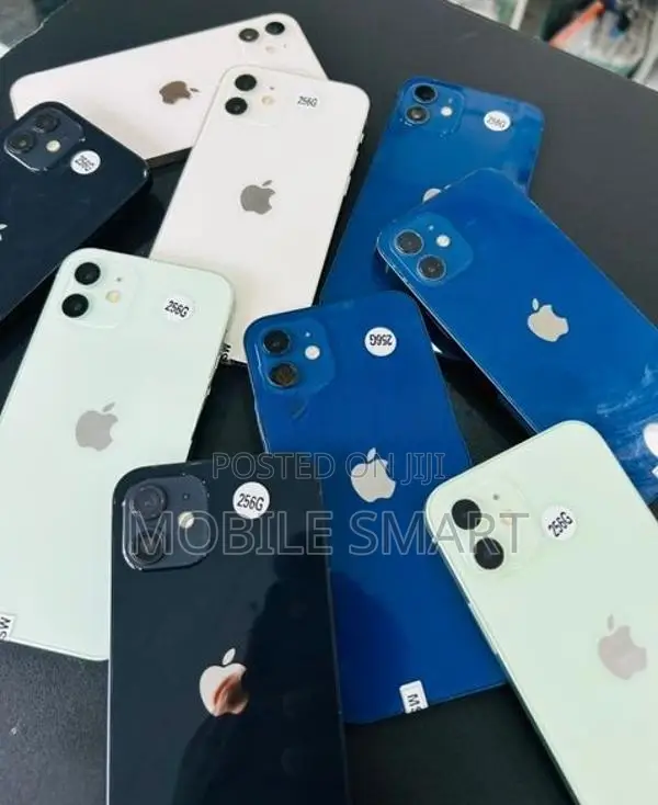 Apple iPhone 12 256GB (Used)