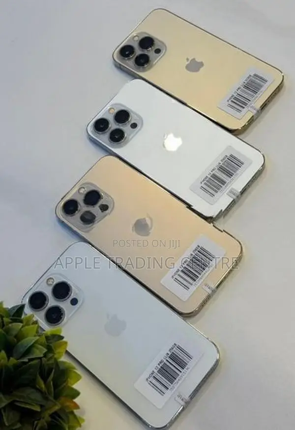 Apple iPhone 13 Pro 256GB (Used)