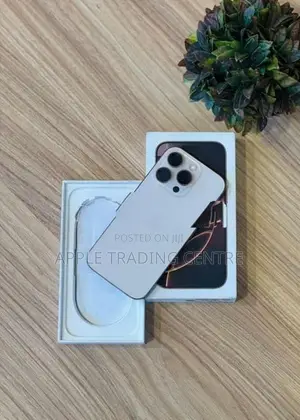 Apple iPhone 16 Pro Max 256GB (Used)