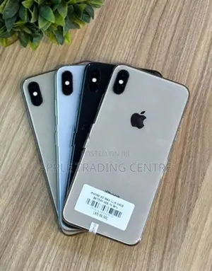 Apple iPhone XS Max 64GB (Used)