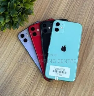 Apple iPhone 11 256GB (Used)