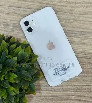 Apple iPhone 12 128GB (Used)