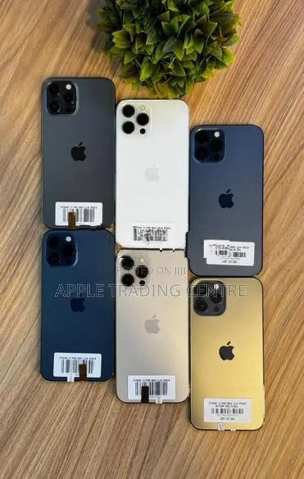 Apple iPhone 12 Pro Max 256GB (Used)