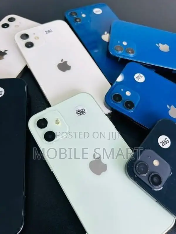 Apple iPhone 12 256GB (Used)