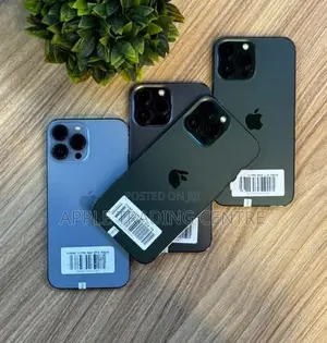 Apple iPhone 13 Pro Max 256GB (Used)