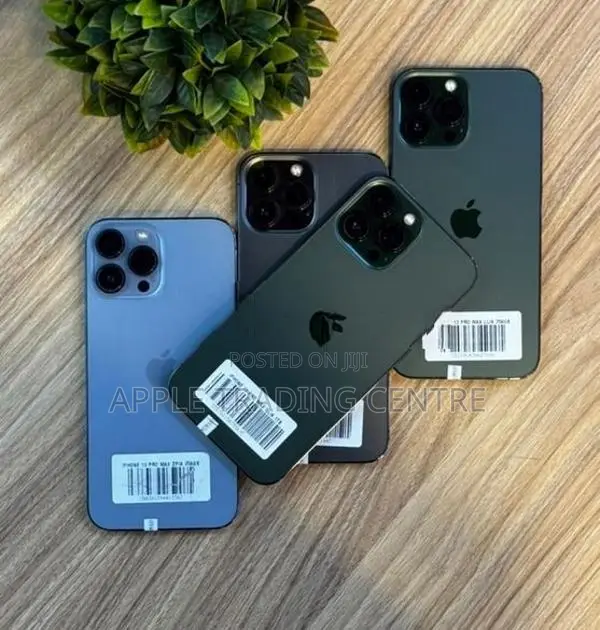 Apple iPhone 13 Pro Max 256GB (Used)