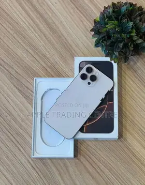 Apple iPhone 16 Pro Max 256GB (Used)