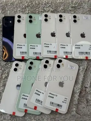 Apple iPhone 12 (Used)
