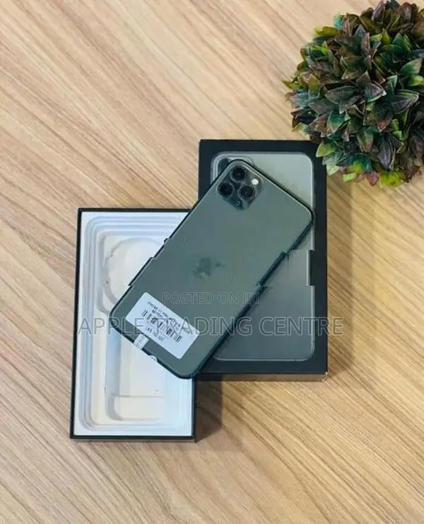 Apple iPhone 11 Pro Max 256GB (Used)