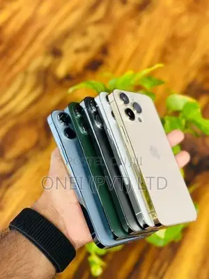 Apple iPhone 13 Pro Max 256GB (Used)