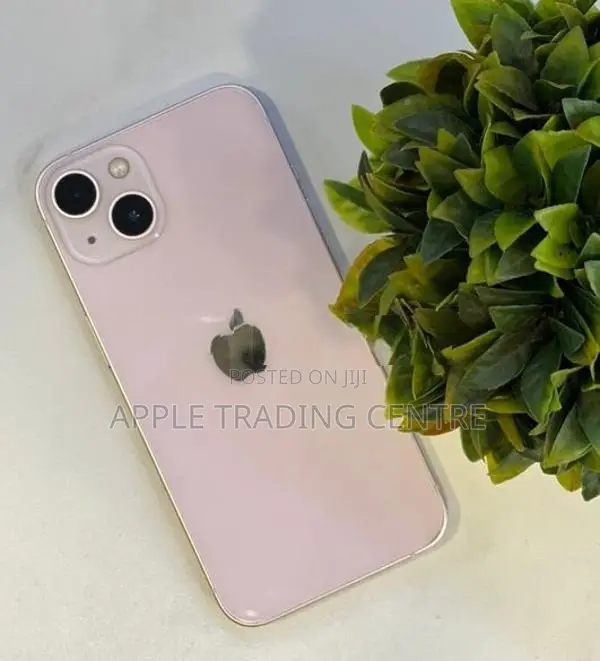 Apple iPhone 13 256GB (Used)