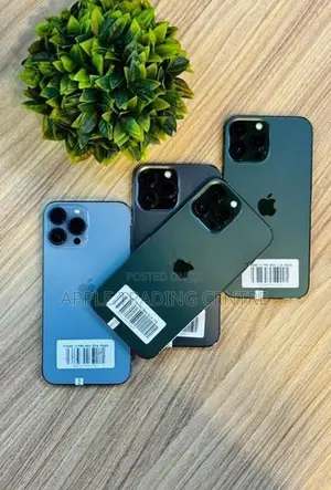 Apple iPhone 13 Pro Max 256GB (Used)