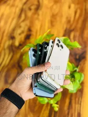 Apple iPhone 13 Pro Max 256GB (Used)