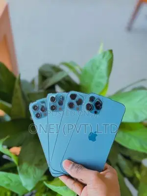Apple iPhone 12 Pro Max 256GB (Used)