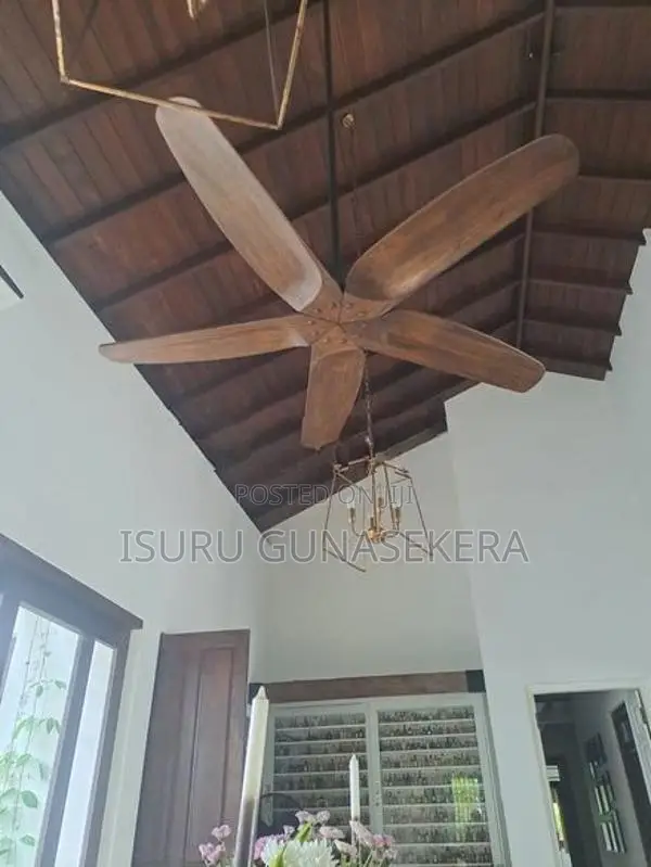 Fan Real Wood