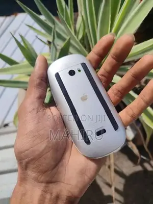Apple Magic Mouse
