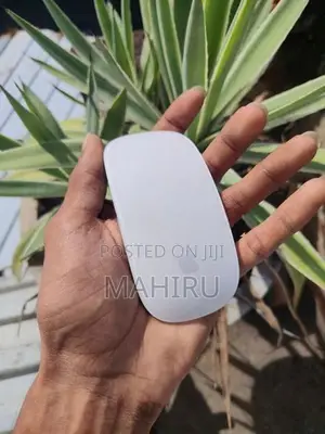 Apple Magic Mouse