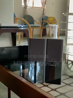 Sony Surround Speakers