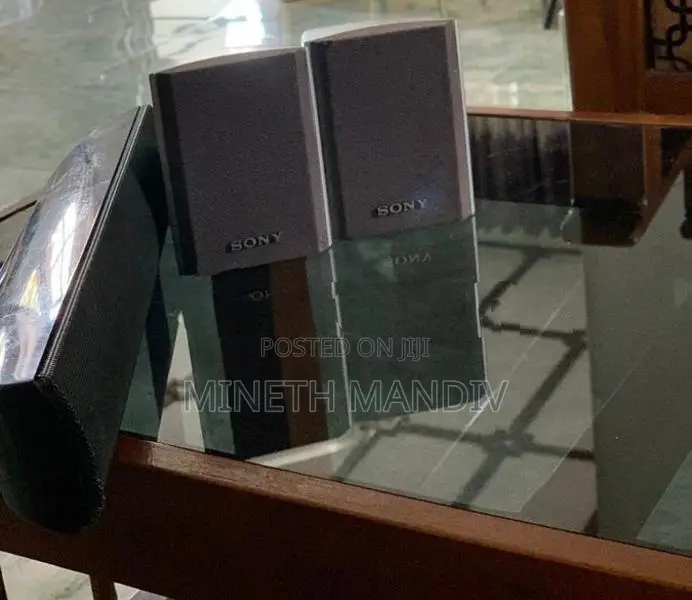 Sony Surround Speakers