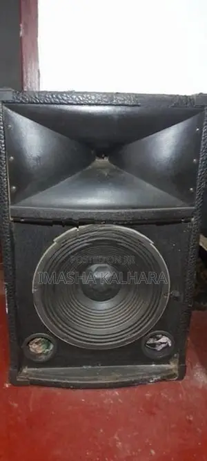 Panasonic Amp with 12" -2 Single Tops