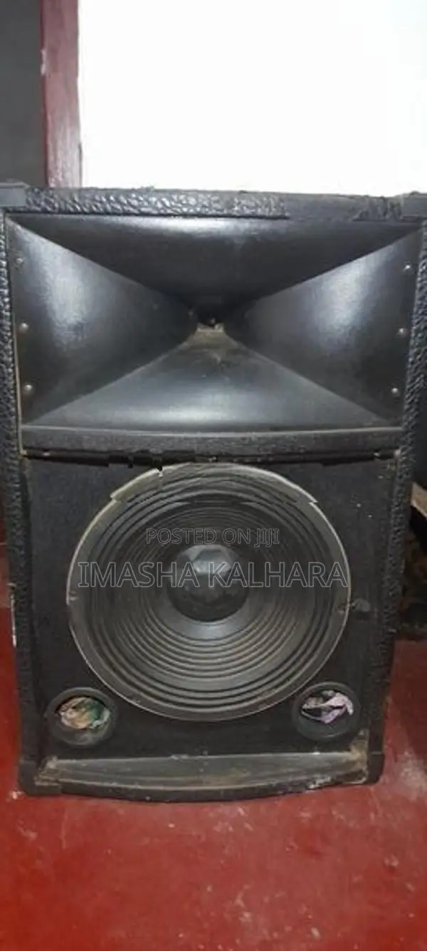 Panasonic Amp with 12" -2 Single Tops