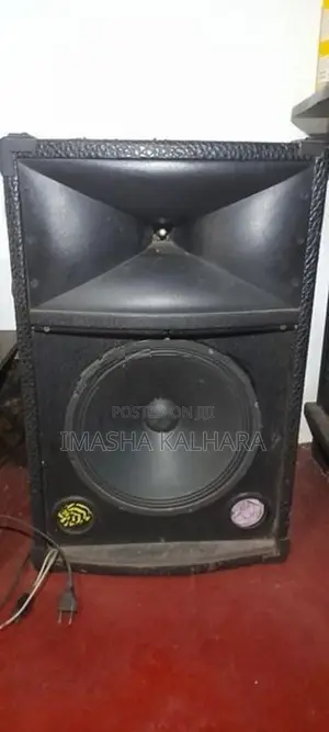 Panasonic Amp with 12" -2 Single Tops