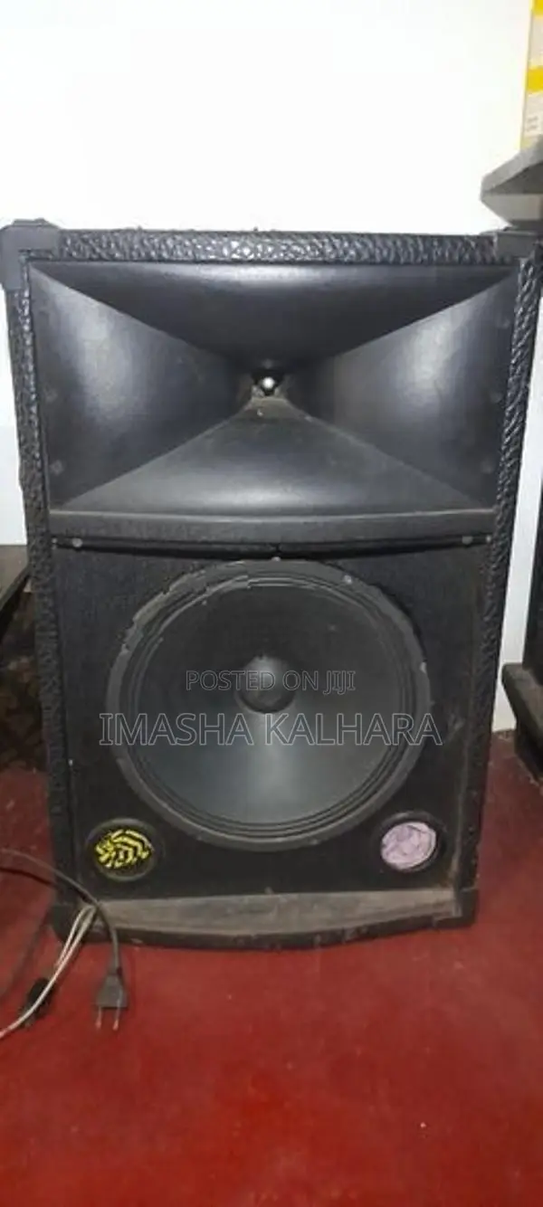 Panasonic Amp with 12" -2 Single Tops