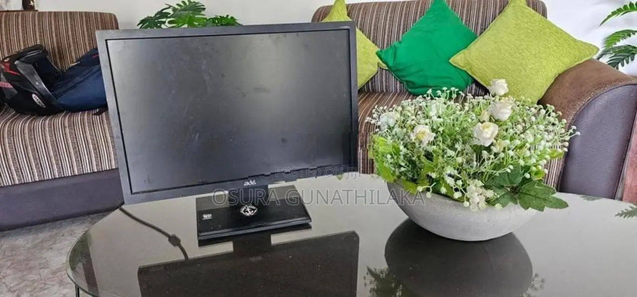 Monitor