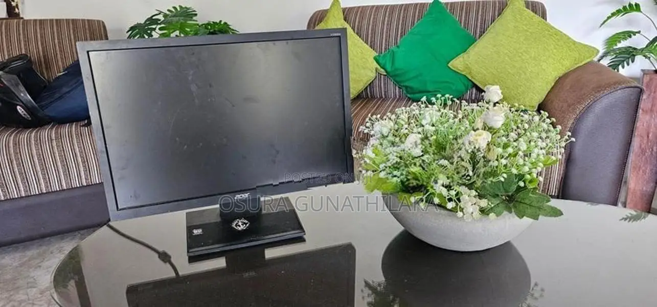 Monitor