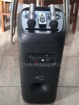 NDR 50W Party Box Speaker
