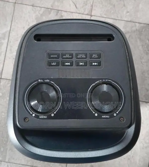 NDR 50W Party Box Speaker