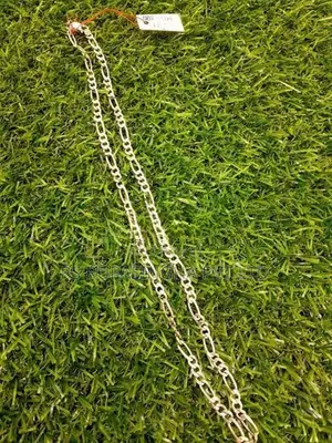 Silver Chain