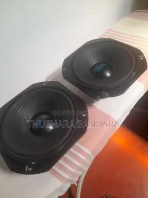 10 inch Woofer