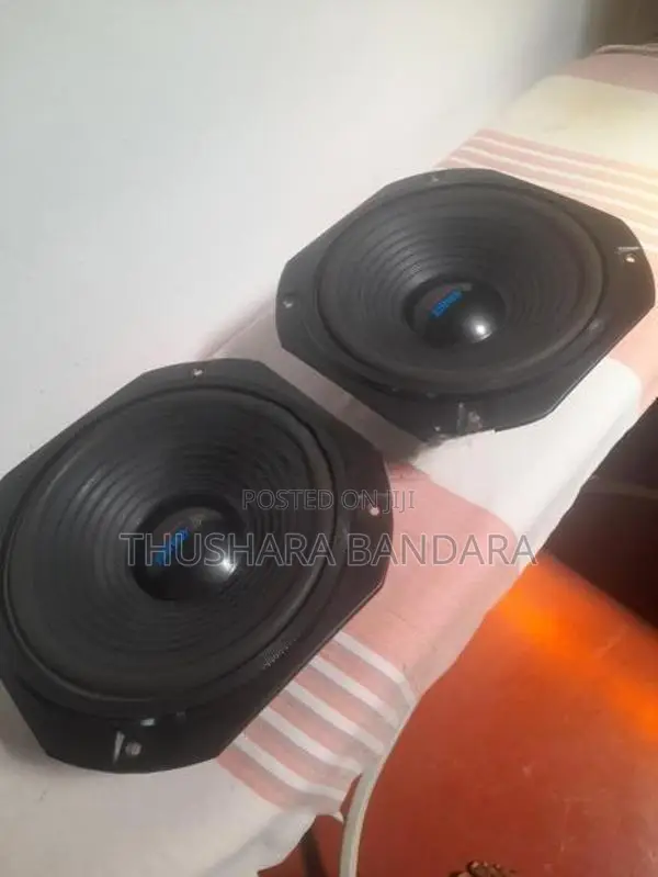 10 inch Woofer