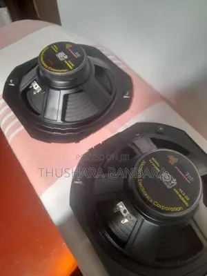 10 inch Woofer