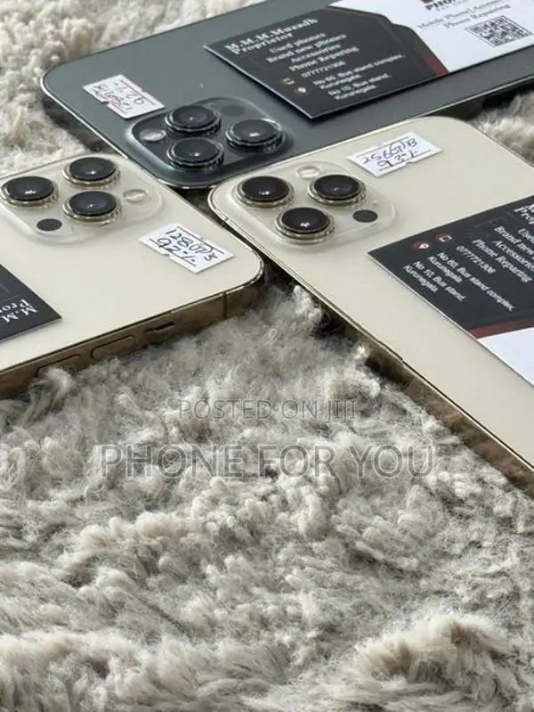 Apple iPhone 12 Pro Max (Used)