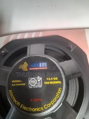 10 inch Woofer