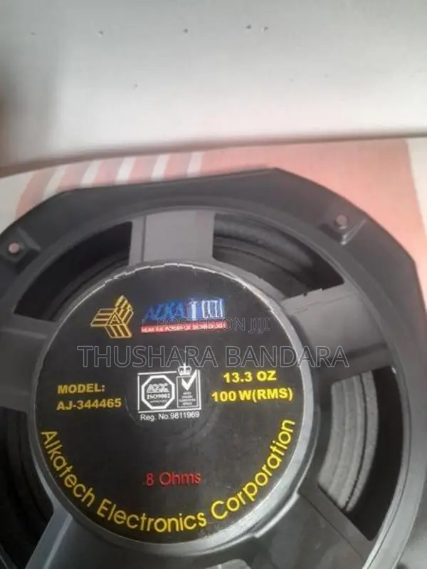 10 inch Woofer