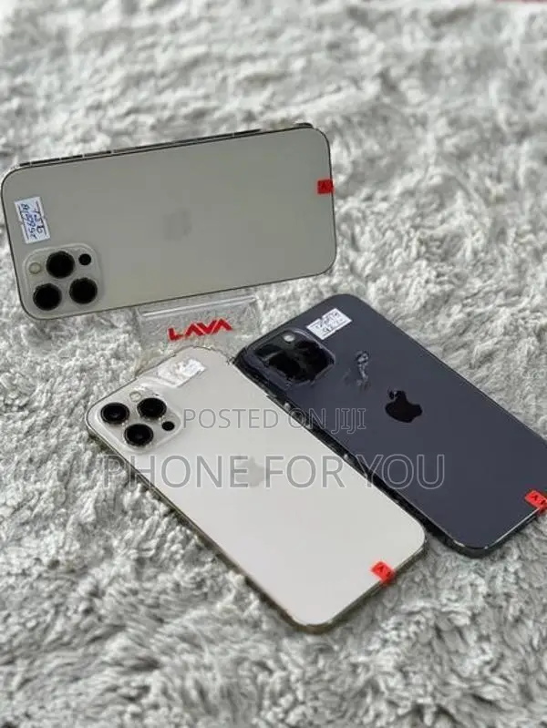 Apple iPhone 12 Pro Max (Used)