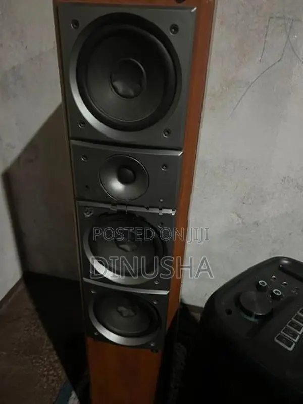 Pioneer Speaker