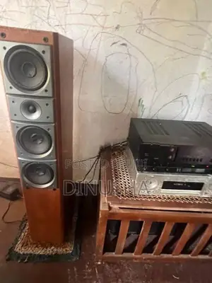 Pioneer Speaker